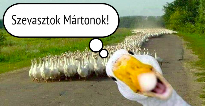 hongarije gans